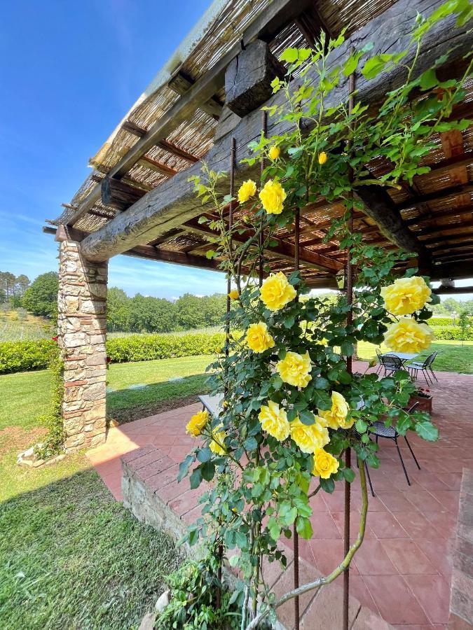 Affittacamere Fattoria Montignana San Casciano in Val di Pesa Esterno foto